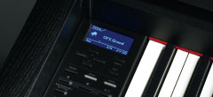 Easy-to-use interface