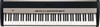 Korg Digital Piano C Stock